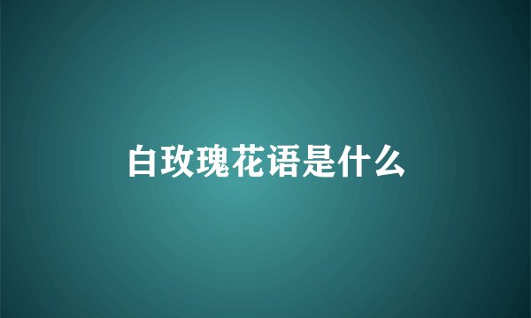 白玫瑰花语是什么