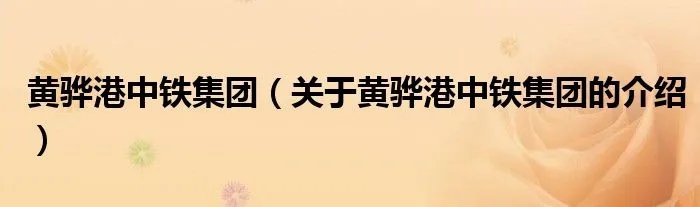 黄骅港中铁集团（关于黄骅港中铁集团的介绍）