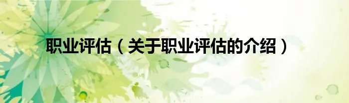 职业评估（关于职业评估的介绍）