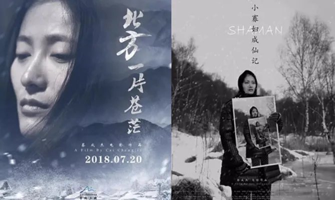 尺度大无法上映的国产电影(综合20部经典)