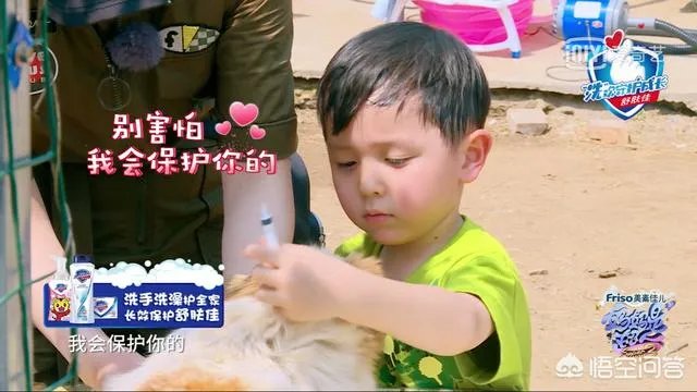 邓莎家的大麟子你们喜欢吗?
