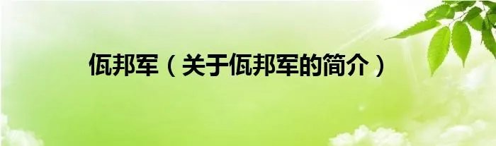 佤邦军(关于佤邦军的简介)