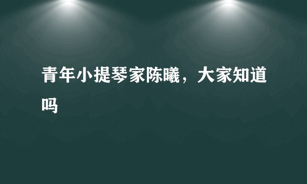 青年小提琴家陈曦,大家知道吗