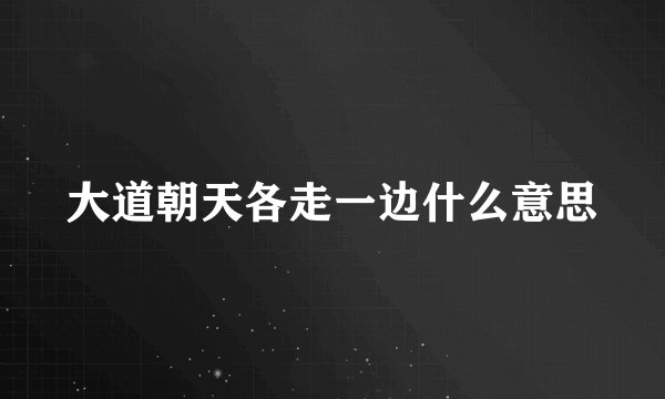 大道朝天各走一边什么意思