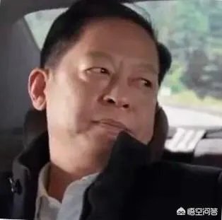 你怎么看电视剧《归去来》中王志文扮演的书望?
