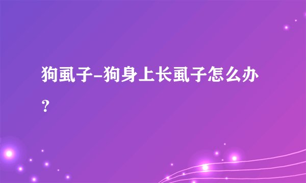 狗虱子-狗身上长虱子怎么办？