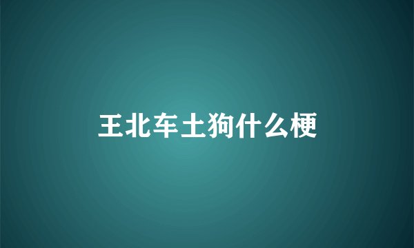 王北车土狗什么梗