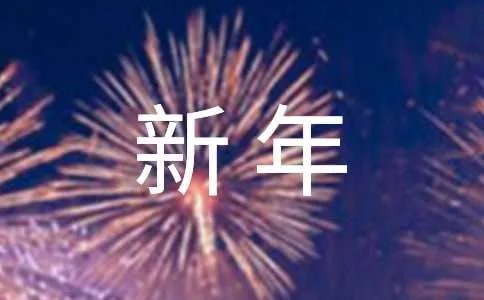 新年的日记