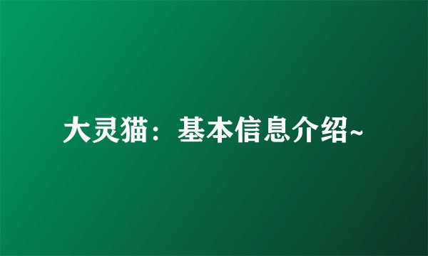 大灵猫：基本信息介绍~