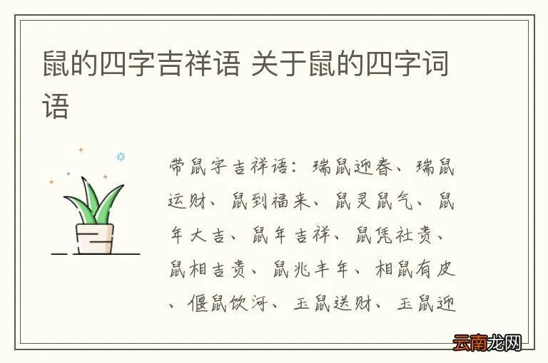 鼠的四字吉祥语 关于鼠的四字词语