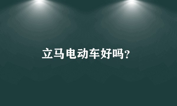 立马电动车好吗？