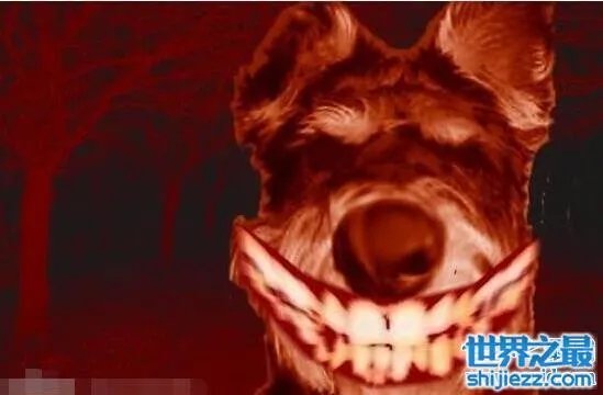 微笑狗恐怖原图,灵异的smile.jpg其实是ps出来的