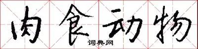 肉食动物