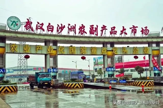 白沙洲市场‘玉米’事件处理的怎么样了？