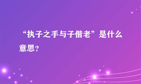 “执子之手与子偕老”是什么意思?