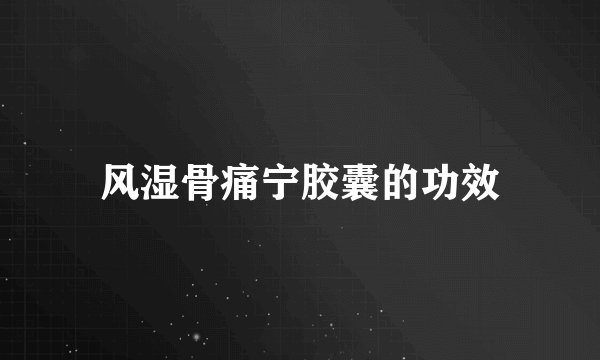 风湿骨痛宁胶囊的功效