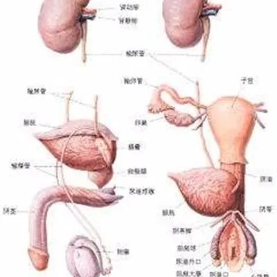 尿黄是怎么回事