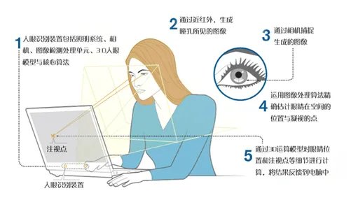 Tobii Eye-Tracking究竟是怎么一回事?