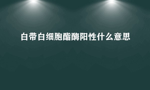 白带白细胞酯酶阳性什么意思