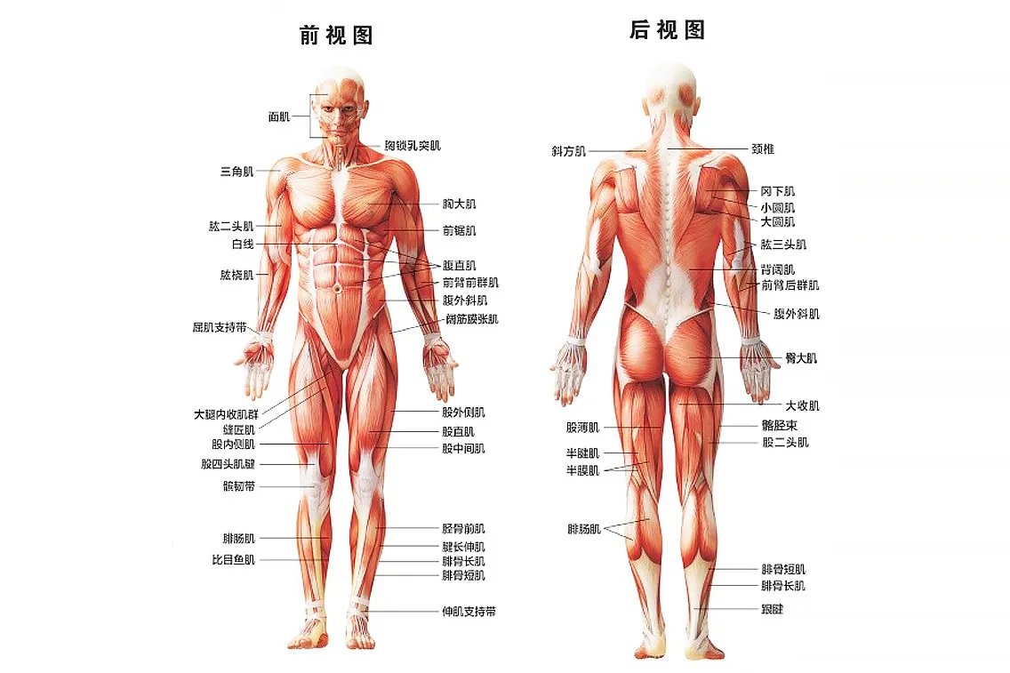 相关推荐