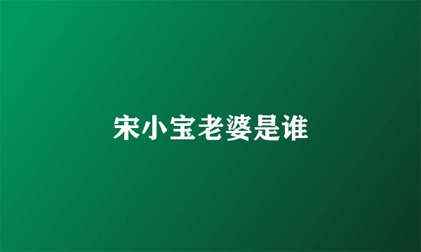 宋小宝老婆是谁