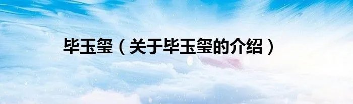 毕玉玺（关于毕玉玺的介绍）
