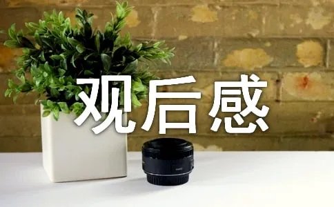 《铁人》观后感