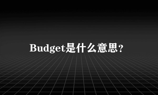 Budget是什么意思？