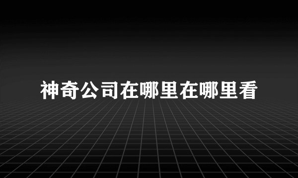 神奇公司在哪里在哪里看