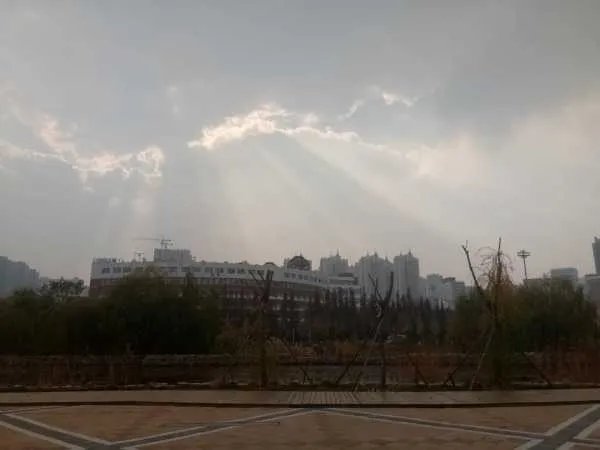 交通工程专业