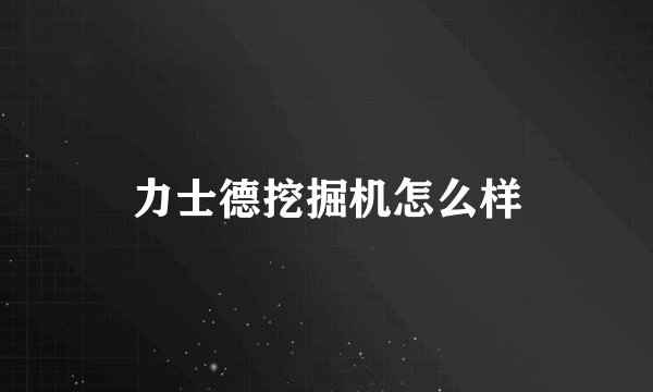 力士德挖掘机怎么样