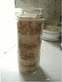 桂花蜜的制作方法?