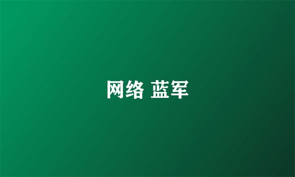 网络 蓝军