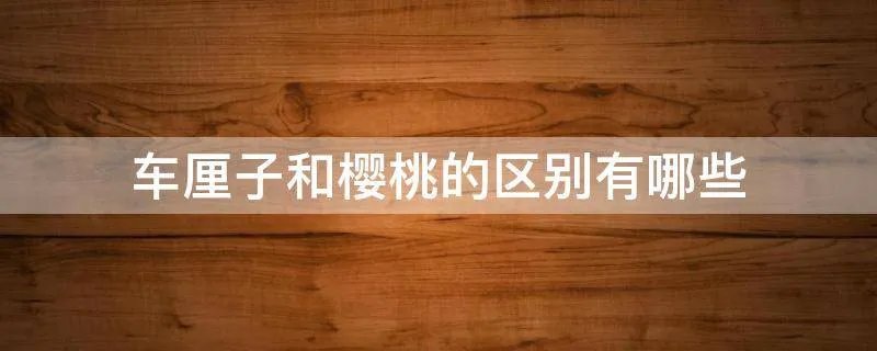 车厘子和樱桃的区别有哪些