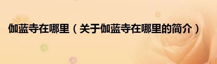 伽蓝寺在哪里（关于伽蓝寺在哪里的简介）