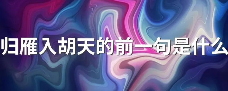 归雁入胡天的前一句是什么 归雁入胡天原文及翻译