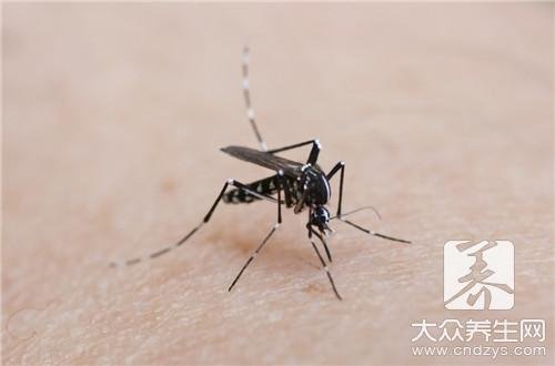 蝙蝠对人类有害吗