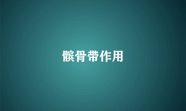 髌骨带作用
