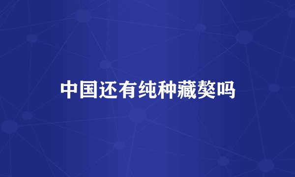 中国还有纯种藏獒吗