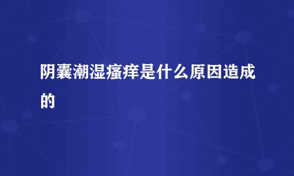 阴囊潮湿瘙痒是什么原因造成的