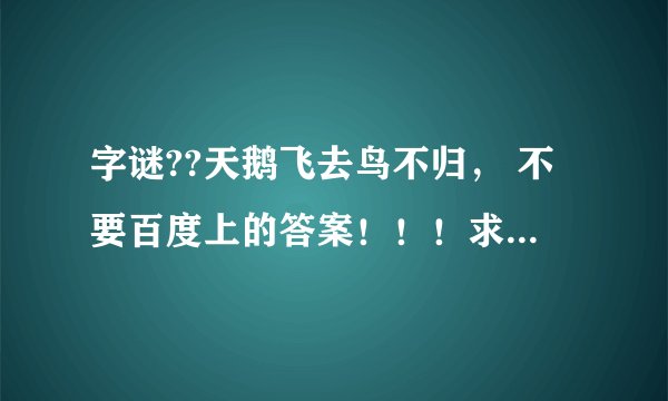 布兰顿罗伊什么伤