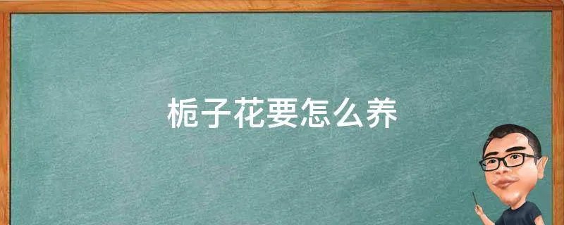 栀子花要怎么养