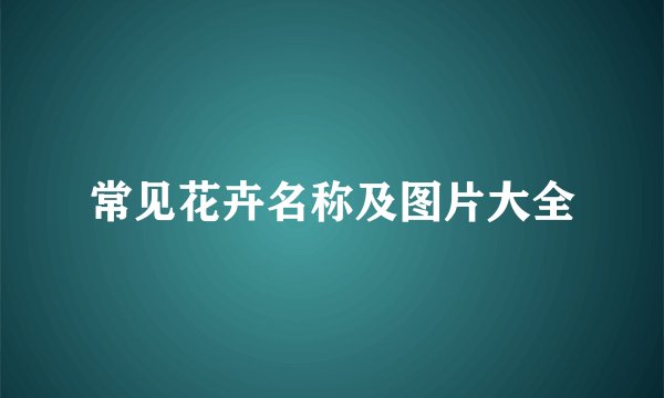 常见花卉名称及图片大全