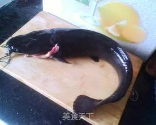 鲶鱼炖茄子