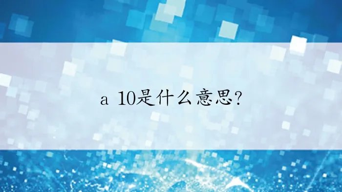 a 10是什么意思?