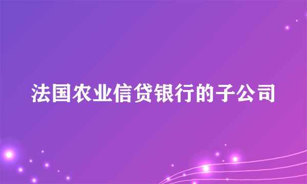 法国农业信贷银行的子公司