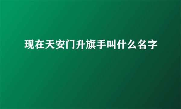 现在天安门升旗手叫什么名字