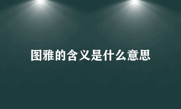 图雅的含义是什么意思