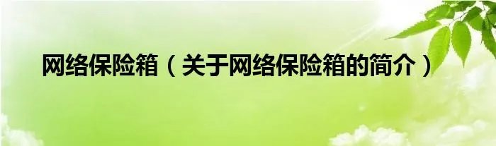 网络保险箱（关于网络保险箱的简介）