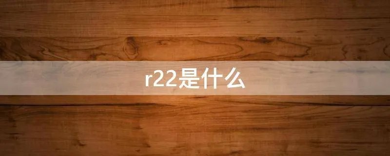 r22是什么